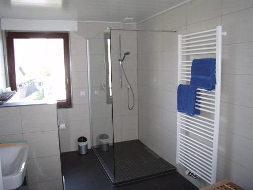 a shower with a glass door in a bathroom at Ferienwohnung Am Saarbogen 