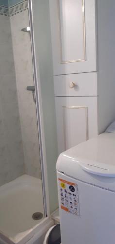 a small bathroom with a shower and a toilet at 1ère ligne studio classé in Le Barcarès