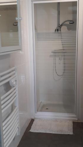 eine Dusche mit Glastür im Bad in der Unterkunft Maison 2/4pers : jardin piscine. LES AMANDIERS in Lorgues