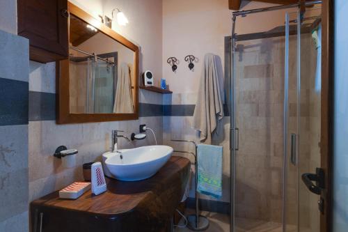 La salle de bains est pourvue d'un lavabo et d'une douche. dans l'établissement Antica dimora, à Paulilatino