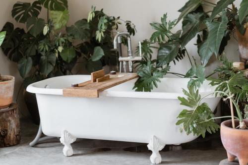 La salle de bains est pourvue d'une baignoire avec des plantes en pot. dans l'établissement Casa Lomah Hotel, à Mexico