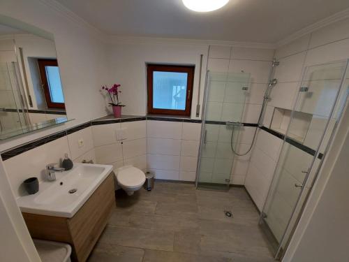 uma casa de banho com um lavatório, um chuveiro e um WC. em Ferienhaus Berghof Usch 