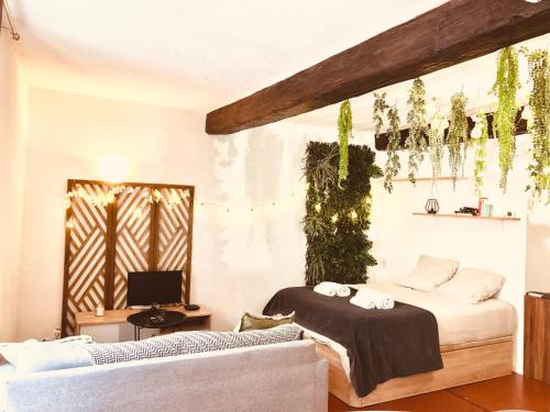 a living room with a bed and a couch at JUNGLE Hyper Centre in Nîmes