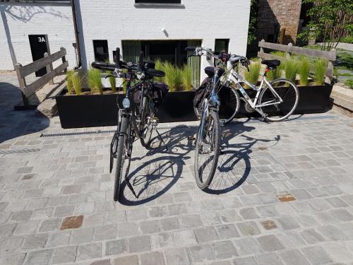 Ποδηλασία στο Nieuw app met tuin en terras, gratis parking, aan zee, vlakbij Brugge ή στη γύρω περιοχή