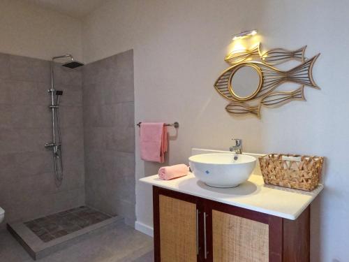 ein Bad mit einem Waschbecken und einer Dusche mit einem Spiegel in der Unterkunft ELOMY VILLA in Albion