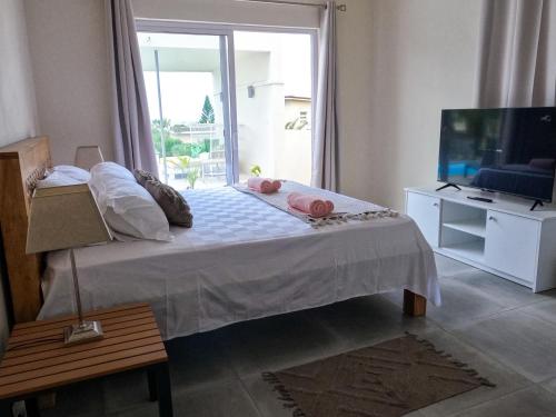 a bedroom with a bed and a tv and a window at ELOMY VILLA in Albion