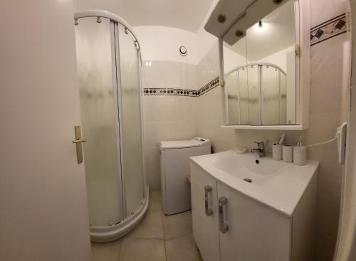 La salle de bains est pourvue d'une douche, d'un lavabo et de toilettes. dans l'établissement Studio Mer Montagne, à Roquebrune-Cap-Martin