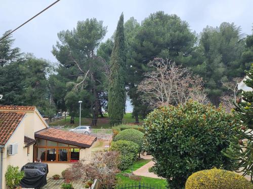 Apartment near Beach and Centre