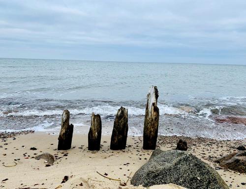 a group of posts in the sand on the beach at Premium Ferienhaus Söss Diek in Groß Schwansee in Kalkhorst