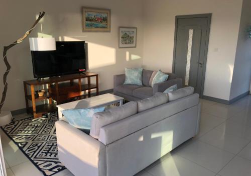a living room with a couch and a tv at Frangipanier 2 bedrooms Sea view Penthouse in Trou aux Biches
