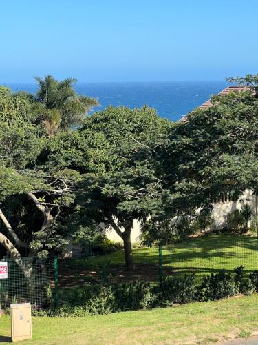 un árbol en un campo con el océano en el fondo en Sibani@ Dolphin coast, en Ballito