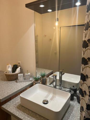 une salle de bain avec un lavabo, une baignoire et un miroir dans l'établissement Snug & Cosy proche gare PartDieu, accès facile aéroport et Eurexpo, à Villeurbanne