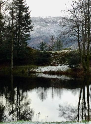 a painting of a pond with trees and a mountain at Accomodatie in Villa Werschmatt in Kruth