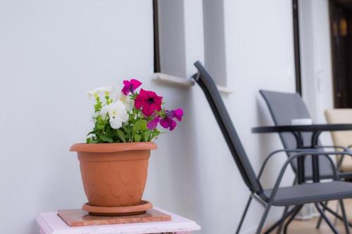 Φωτογραφία από το άλμπουμ του Stellar Apartments II στον Πλατανιά