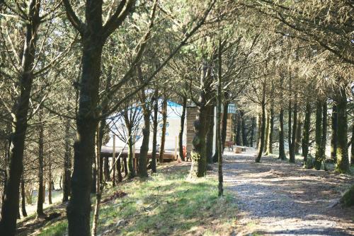 Gallery image of Raven Yurt - Yurtopia in Aberystwyth