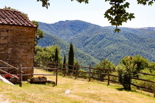 Φωτογραφία από το άλμπουμ του Agriturismo con piscina in Toscana, Tribbiano στο Αρέτσο