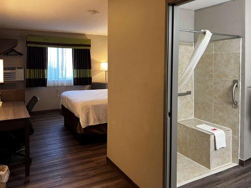 een hotelkamer met een bed en een douche bij Econo Lodge Spring Lake near Fort Bragg in Spring Lake