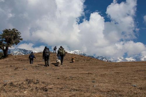 a group of people walking up a hill with a dog at Rakkh Resort, a member of Radisson Individuals Retreats in Pālampur