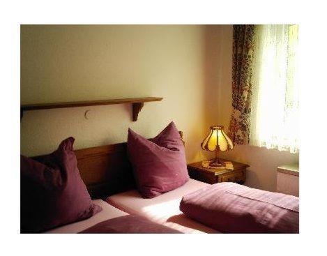 1 Schlafzimmer mit 2 Betten mit lila Kissen und einer Lampe in der Unterkunft Sport Alpin Wohnung 1 in Oberstdorf