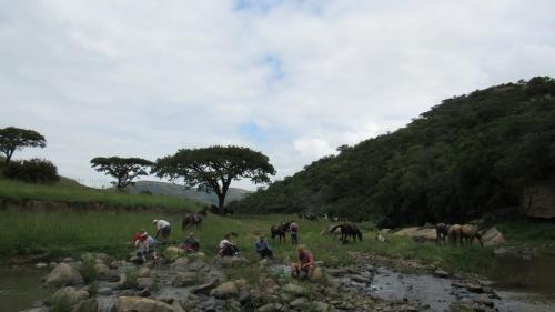 a group of people standing in a field with animals at MacFarlanes in Harrismith
