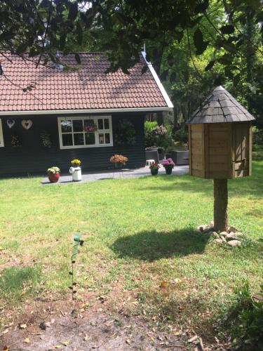 een vogelhuisje aan een boom in een tuin bij Het Veenhuisje in Norg