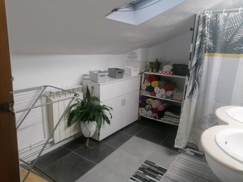 La salle de bains est pourvue d'un lavabo et d'une plante en pot. dans l'établissement Chambre 23m2 avec jardin Wi-Fi gratuit Saint-Girons, à Saint-Girons