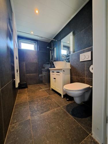 een badkamer met een toilet en een wastafel bij Vakantiewoning 't Molenhuisje Westkapelle in Westkapelle