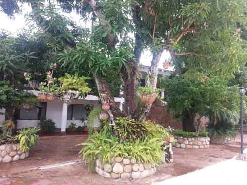 Taman di luar Hotel Villa Maritza