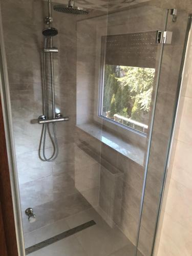 a shower with a glass door with a window at Willa Euforia in Poznań