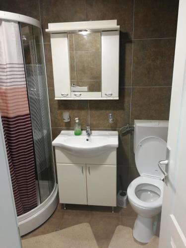 a bathroom with a toilet and a sink and a shower at ROSA in Vrnjačka Banja