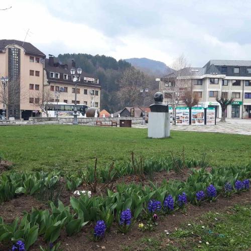 ein Park mit Blumen im Gras und in Gebäuden in der Unterkunft GUESTHOUSE TARA in Kolašin