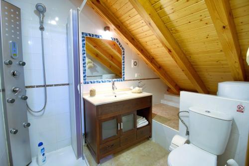 a bathroom with a toilet and a sink and a shower at Casa Rural Figueroa in Jábaga