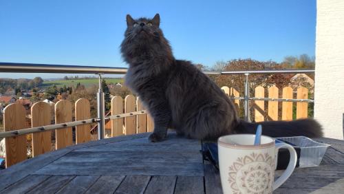 a cat standing on a table next to a coffee cup at Stifterfelsen Ferienwohnung in Sinzing