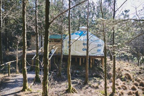 Gallery image of Elf Yurt - Yurtopia in Aberystwyth