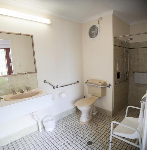 a bathroom with a toilet and a sink and a mirror at Murwillumbah Motor Inn in Murwillumbah