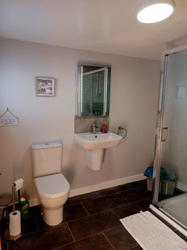 a bathroom with a toilet and a sink at Erraid Lodge in Fort Augustus