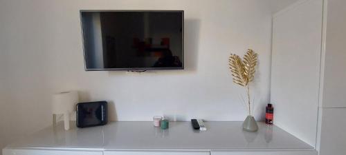 a television on a white wall with a vase with a plant at Alba Roma Holiday Home in Rome