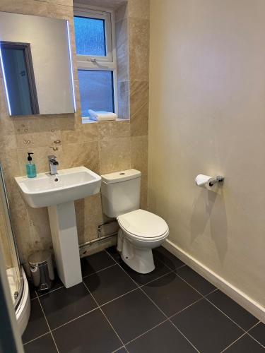 a bathroom with a white toilet and a sink at The Castle in Norwich