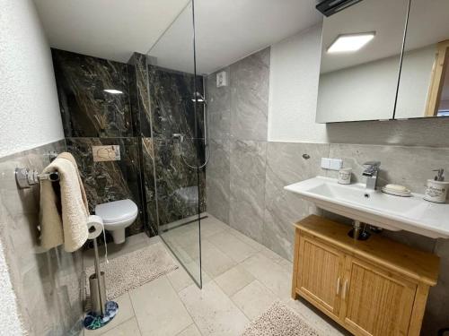 een badkamer met een douche, een wastafel en een toilet bij Schöne Ferienwohnung mit Jacuzzi in Hinterzarten in Hinterzarten