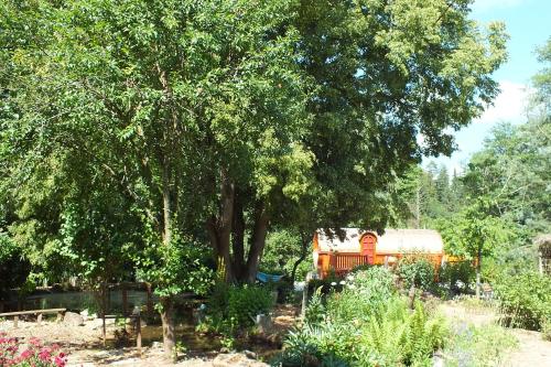 un camión naranja está estacionado bajo un árbol en roulotte viticole, en Xertigny