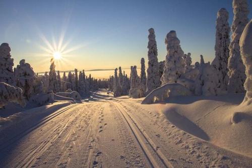 a snow covered road with the sun in the background at Chambres d'hotes La Combette in Le Bleymard