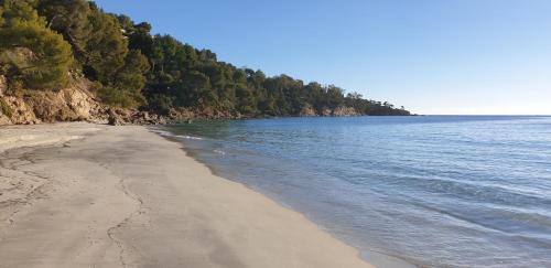 a sandy beach with trees on the side of the water at chambre indépendante avec jardin privatif in La Londe-les-Maures