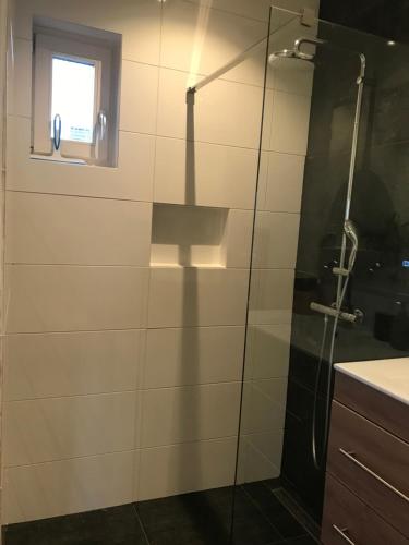 a bathroom with a glass shower with a window at Blossombed in Voorhout