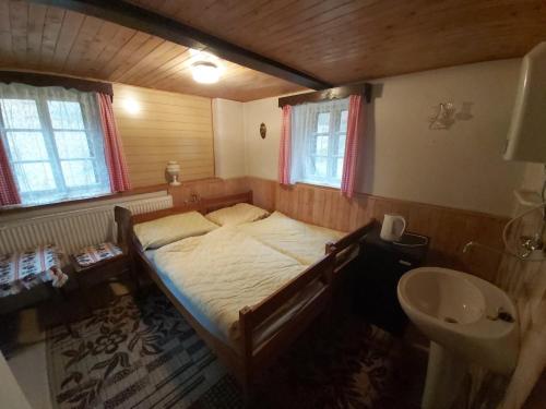 Dormitorio pequeño con cama y lavamanos en Ubytování v retro chalupě Na Věčnosti, en Tanvald