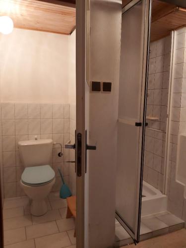 a small bathroom with a toilet and a shower at Ubytování v retro chalupě Na Věčnosti in Tanvald
