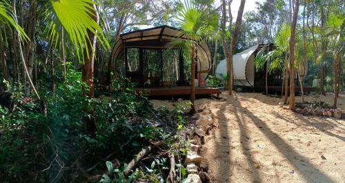 une tente au milieu d'une forêt avec des palmiers dans l'établissement Zil-Kaab Hidden Glamping Village, à Tulum