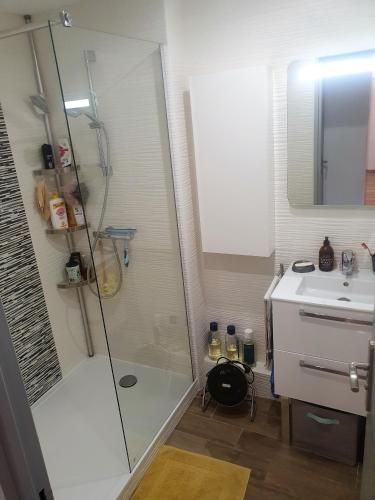 une salle de bain avec douche et lavabo dans l'établissement l'Eldorado palavas-les-flôts, à Palavas-les-Flots