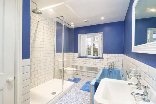 een badkamer met een wastafel, een bad en een toilet bij Ty Bledrws - family retreat near the Cardigan Bay coast 