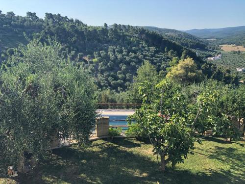 a view of a mountain with trees and a train at B&B Zia Nì in Peschici