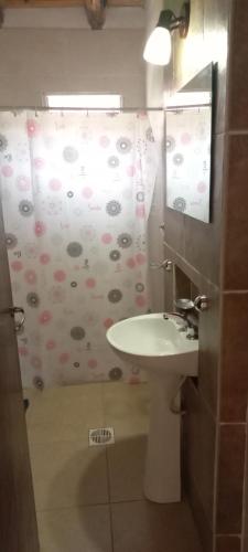 baño con lavabo y cortina de ducha en Vista andes II en Luján de Cuyo